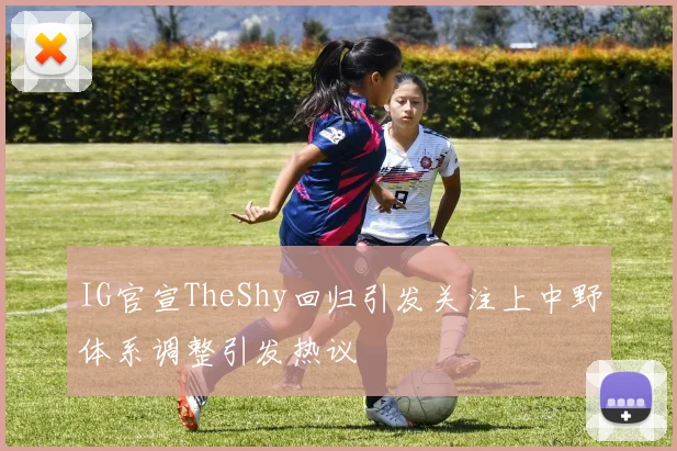 IG官宣TheShy回归引发关注上中野体系调整引发热议